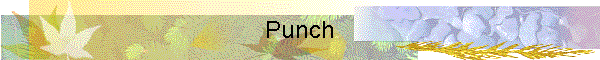 Punch