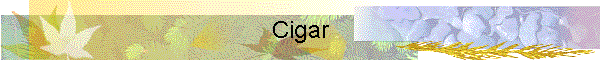Cigar