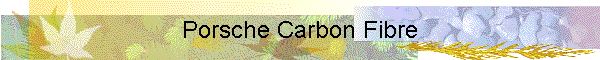 Porsche Carbon Fibre