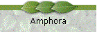 Amphora