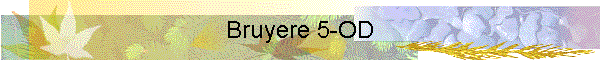 Bruyere 5-OD