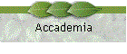 Accademia