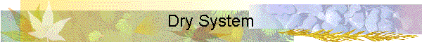 Dry System