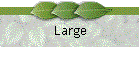 Large