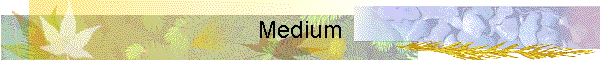 Medium