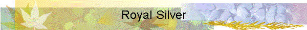 Royal Silver
