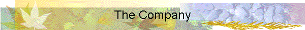 The Company
