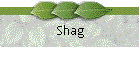 Shag